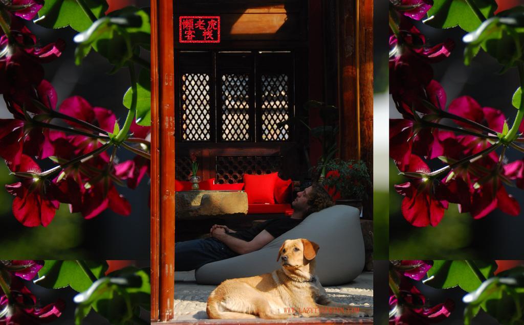Lazy Tiger Inn Lijiang  Exterior foto