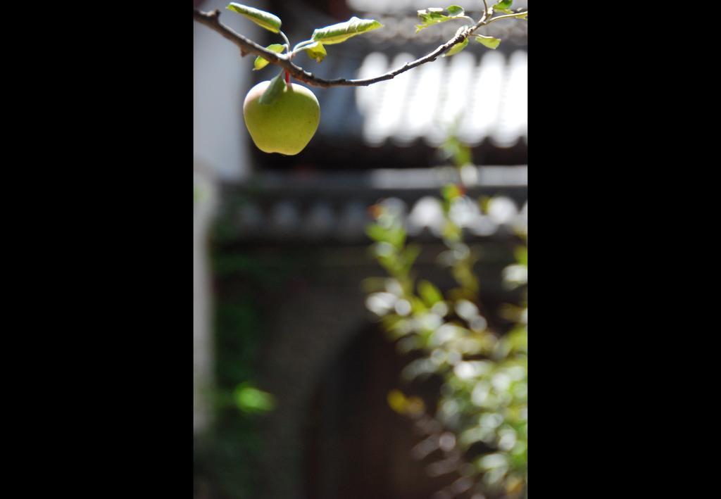 Lazy Tiger Inn Lijiang  Exterior foto